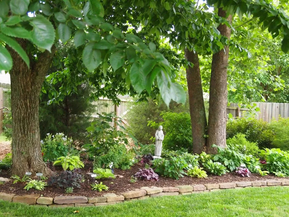 Reliable yard cleanup service in Wht Settlemt, TX by CDC & Crews Landscaping