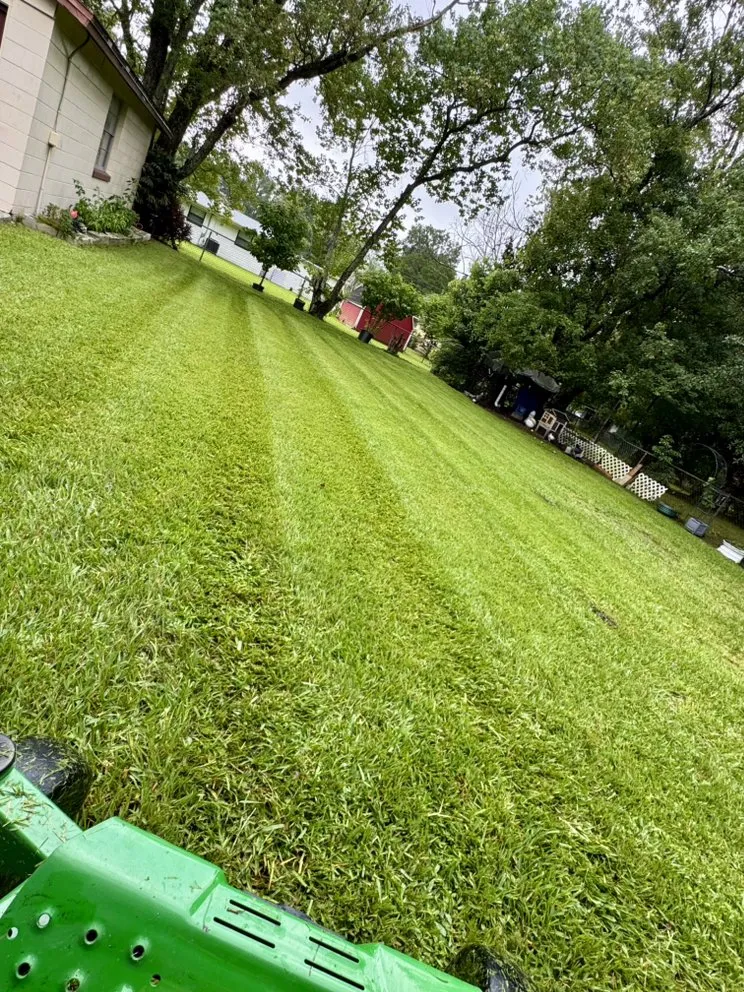 Reliable lawn care service in Jacksonville, FL by CDC Landscaping And More
