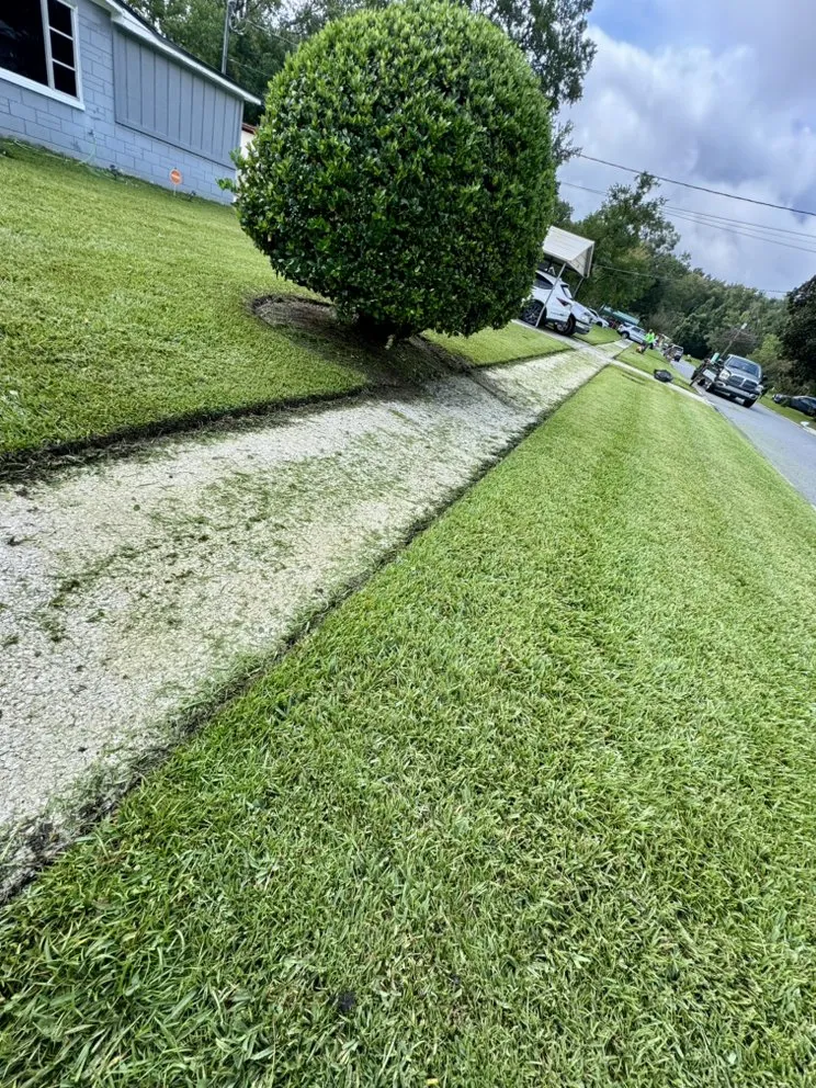 Expert yard cleanup service in Jacksonville, FL by CDC Landscaping And More