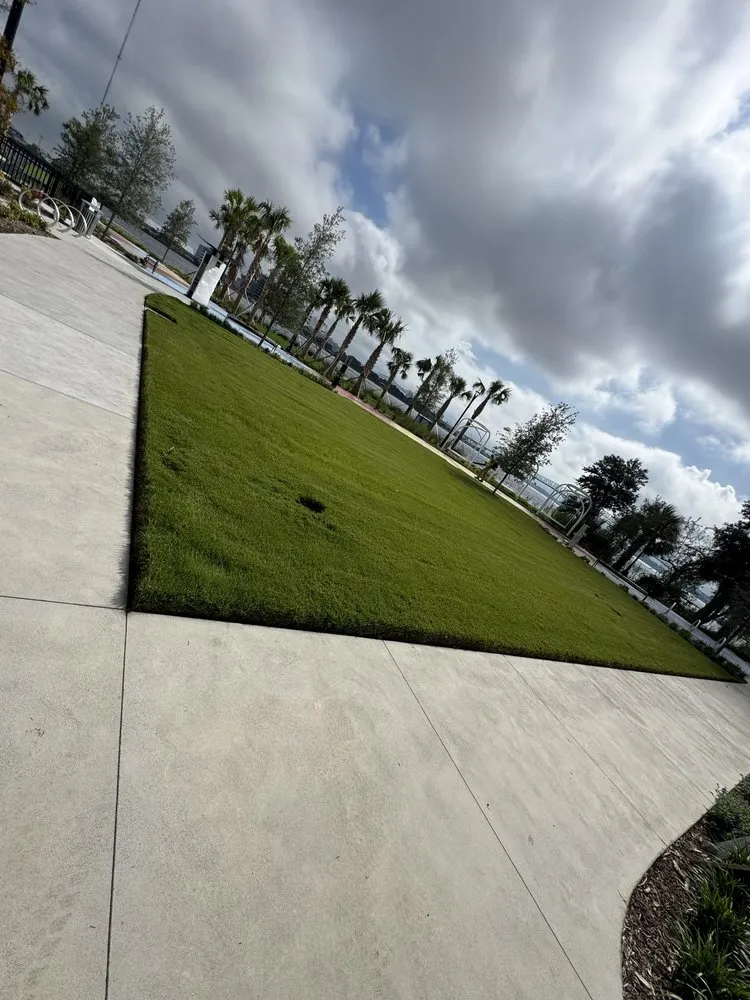 Expert lawn care service for year-round maintenance across Jacksonville, FL - CDC Landscaping And More