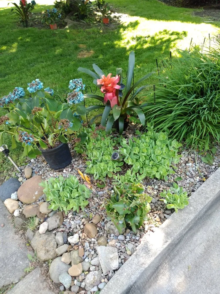 Expert lawn mowing service in Akron, OH - Cdf Landscaping