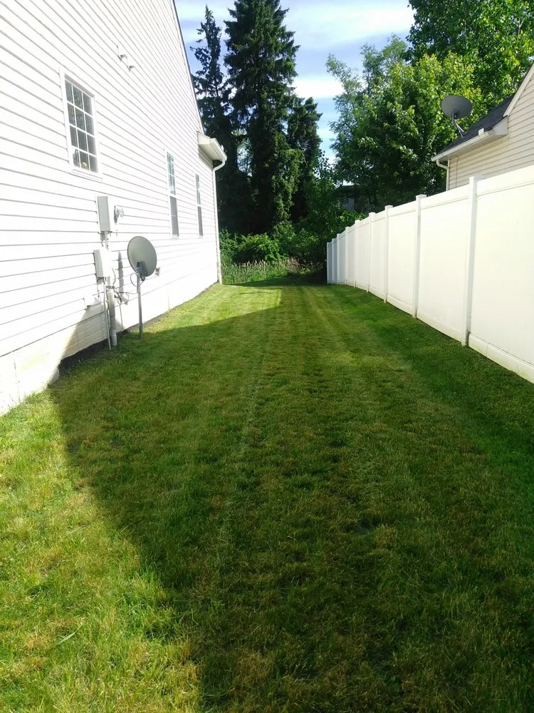 Top-rated landscaping services experts serving Akron, OH - Cdf Landscaping