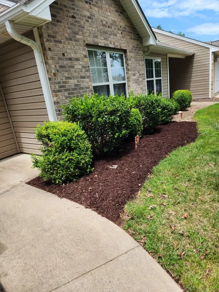 Reliable landscaping services in Hendersonville, NC by CDG Excavating And Landscaping