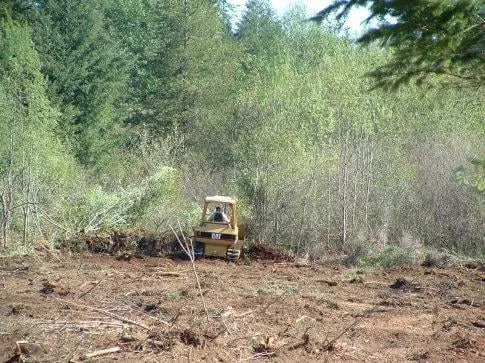 Expert landscape installation in Carriere, MS by CDI Land Development