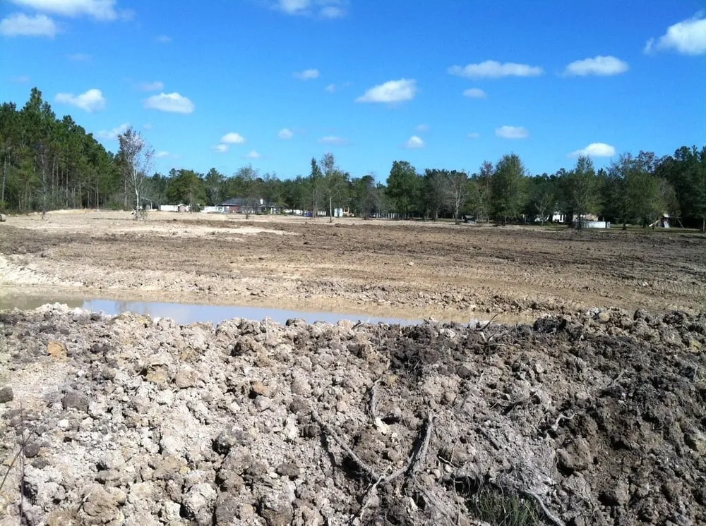 Trusted yard cleanup service for homes across Carriere, MS - CDI Land Development