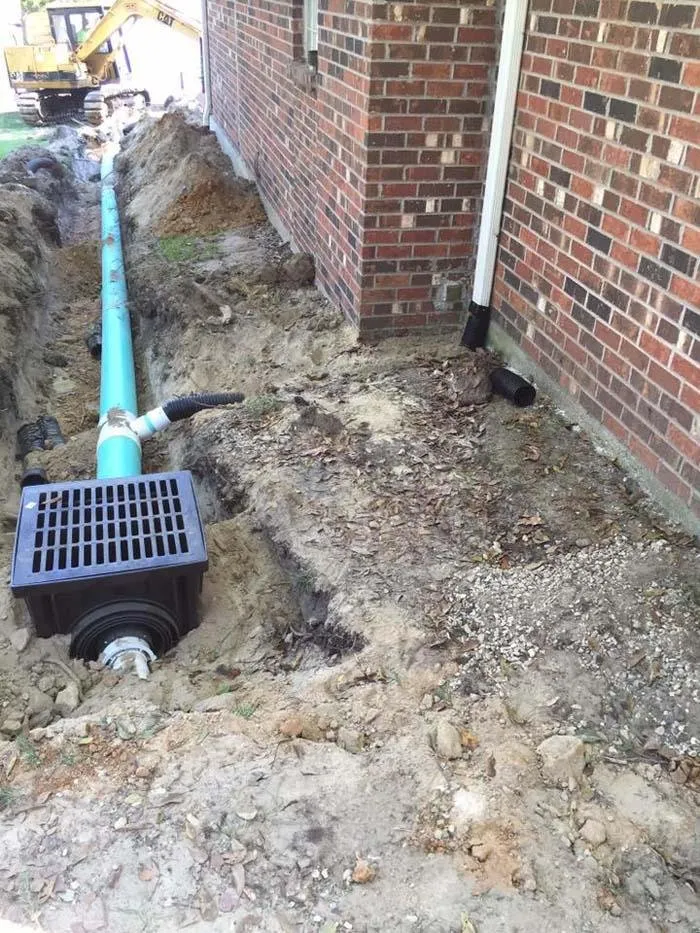 Local yard cleanup service for outdoor upgrades across Carriere, MS - CDI Land Development