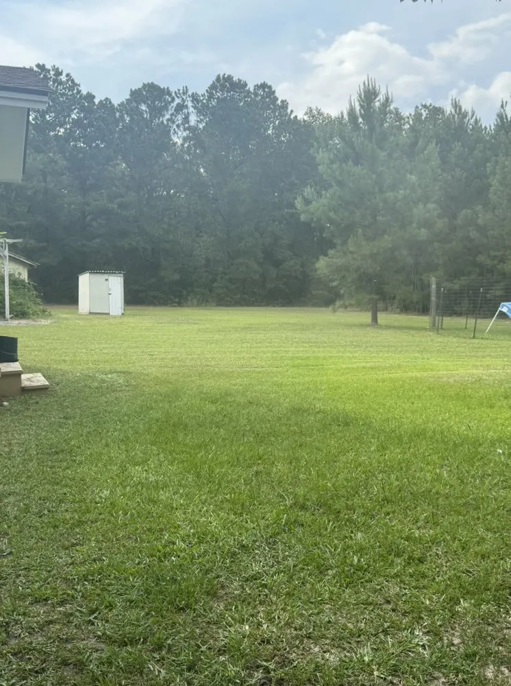 Expert yard maintenance in Eastman, GA - CDL Lawn Care And Pressure Washing