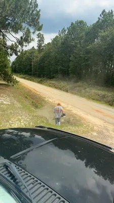 CDL Lawn Care And Pressure Washing