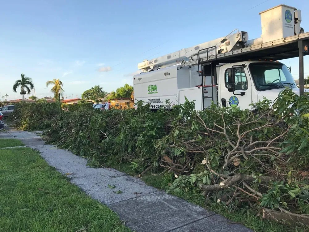 Trusted yard maintenance experts serving Hialeah, FL - CDM Landscaping