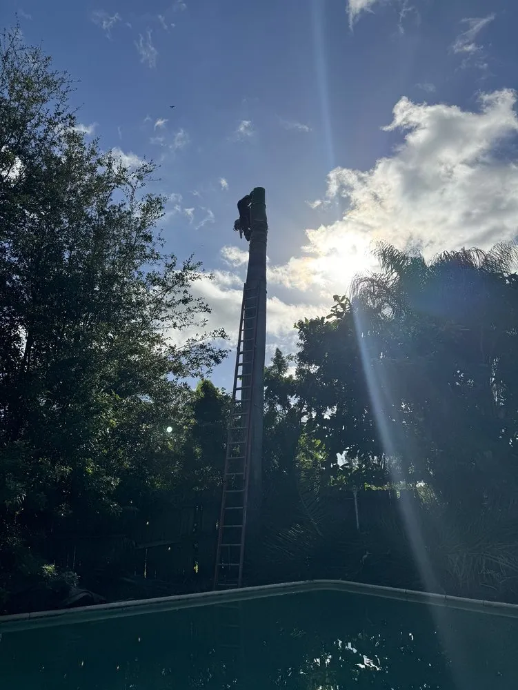 Professional landscape installation for outdoor upgrades in Hialeah, FL by CDM Landscaping