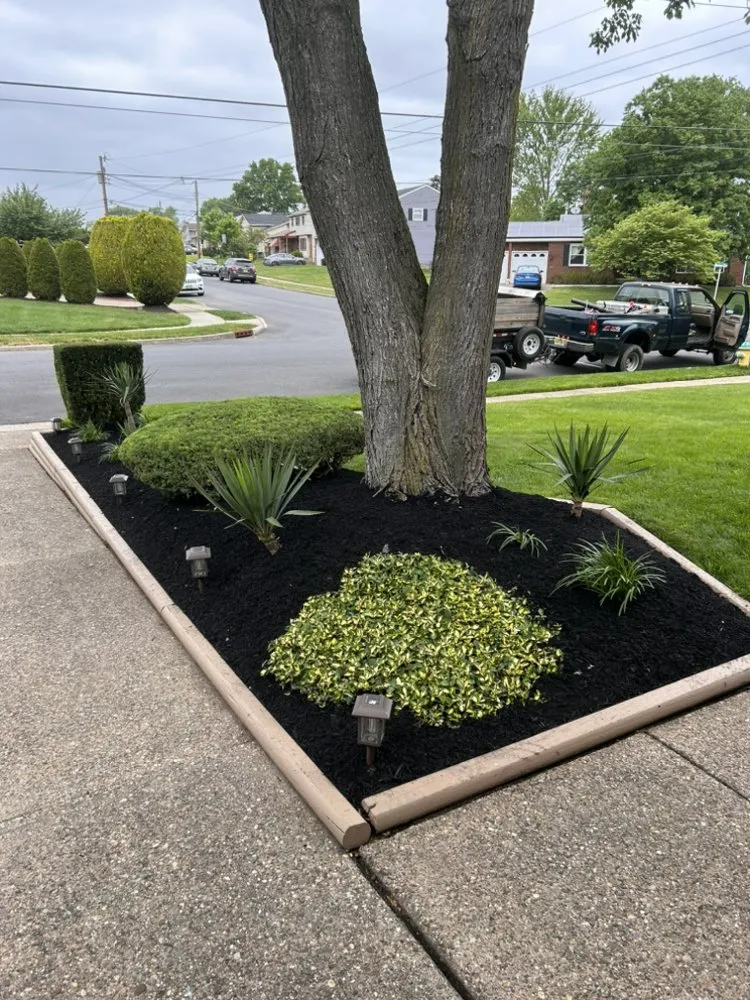 Trusted residential landscaping in Clementon, NJ by CDM Lawn and Landscaping