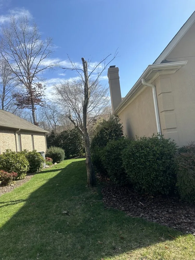 Top-rated outdoor landscaping for year-round maintenance across Winston-Salem, NC - CDM Lawncare Services