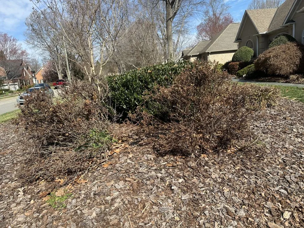 Local outdoor landscaping near you in Winston-Salem, NC by CDM Lawncare Services