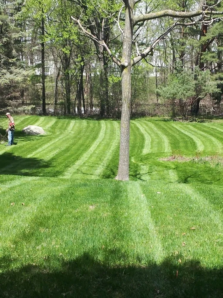 Trusted lawn care service for year-round maintenance in Lansing, MI by CDM Property Maintenance