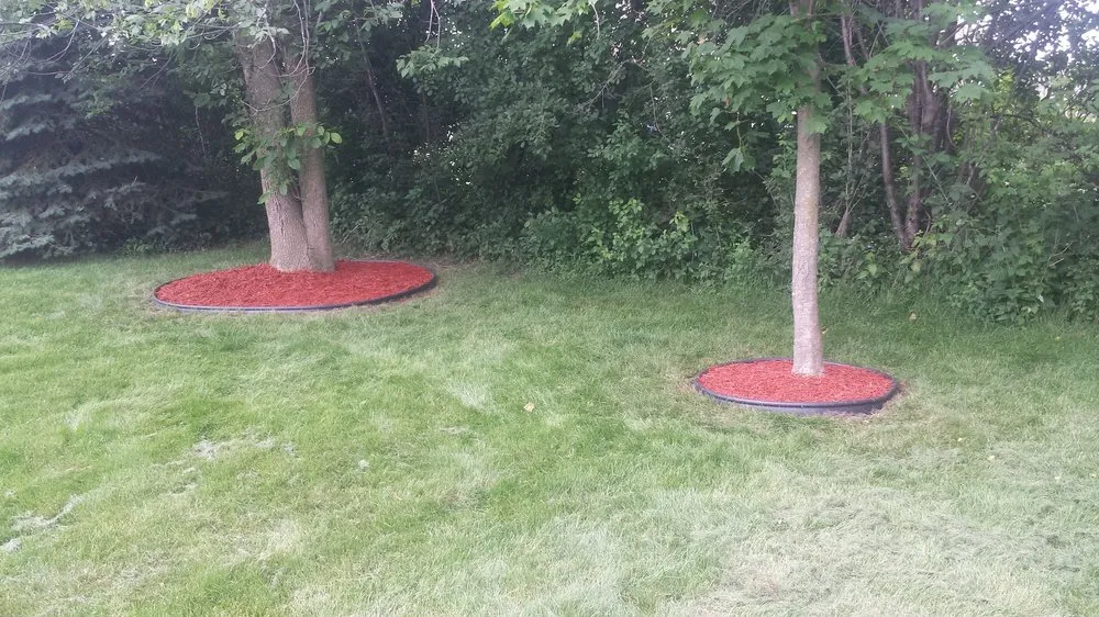 Professional landscaping services in Lansing, MI by CDM Property Maintenance