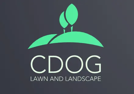 Professional yard cleanup service in Rocky River, OH by CDOG Lawn and Landscape