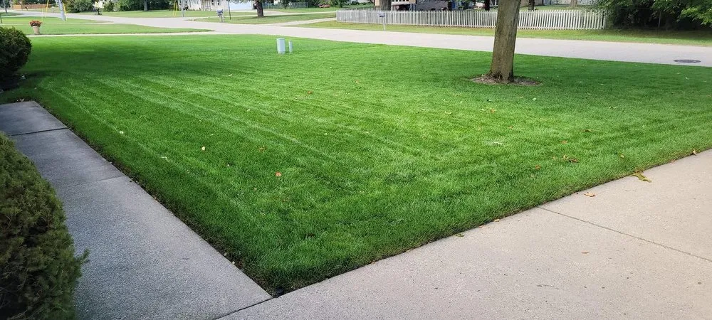 Top-rated landscape design in Wyoming, MI by CDP Lawn Care Services