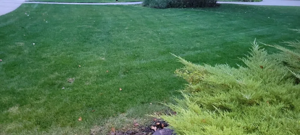 Custom garden landscaping for residential properties across Wyoming, MI - CDP Lawn Care Services