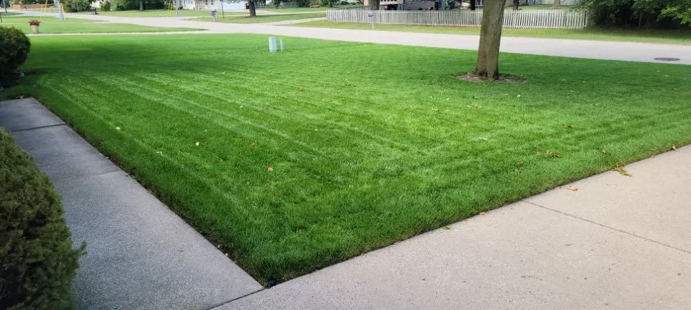 Affordable landscaping services in Wyoming, MI - CDP Lawn Care Services
