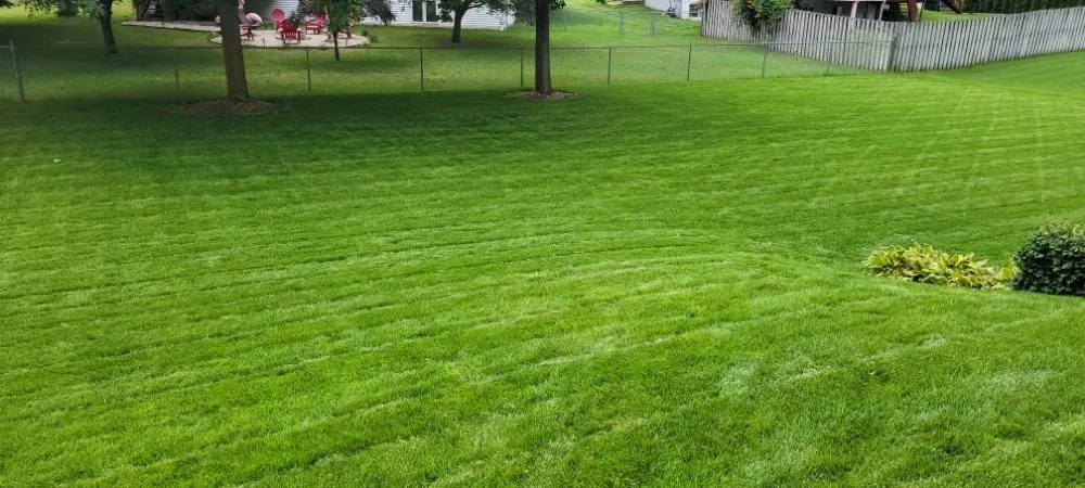 Professional landscape design experts serving Wyoming, MI - CDP Lawn Care Services