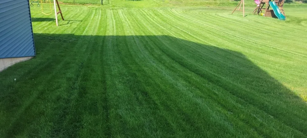 Local outdoor landscaping for year-round maintenance in Wyoming, MI by CDP Lawn Care Services