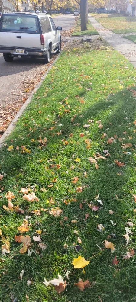 Affordable landscape design in Wyoming, MI - CDP Lawn Care Services