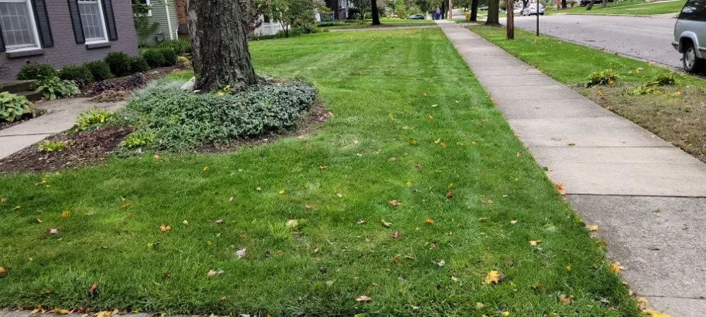 Affordable landscape installation for outdoor upgrades in Wyoming, MI by CDP Lawn Care Services