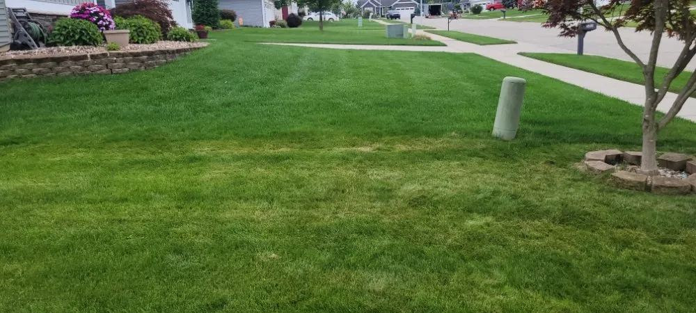 Local landscape installation for year-round maintenance across Wyoming, MI - CDP Lawn Care Services