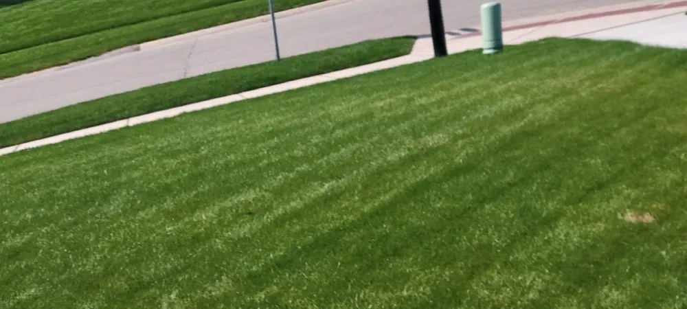 Affordable landscape installation in Wyoming, MI by CDP Lawn Care Services