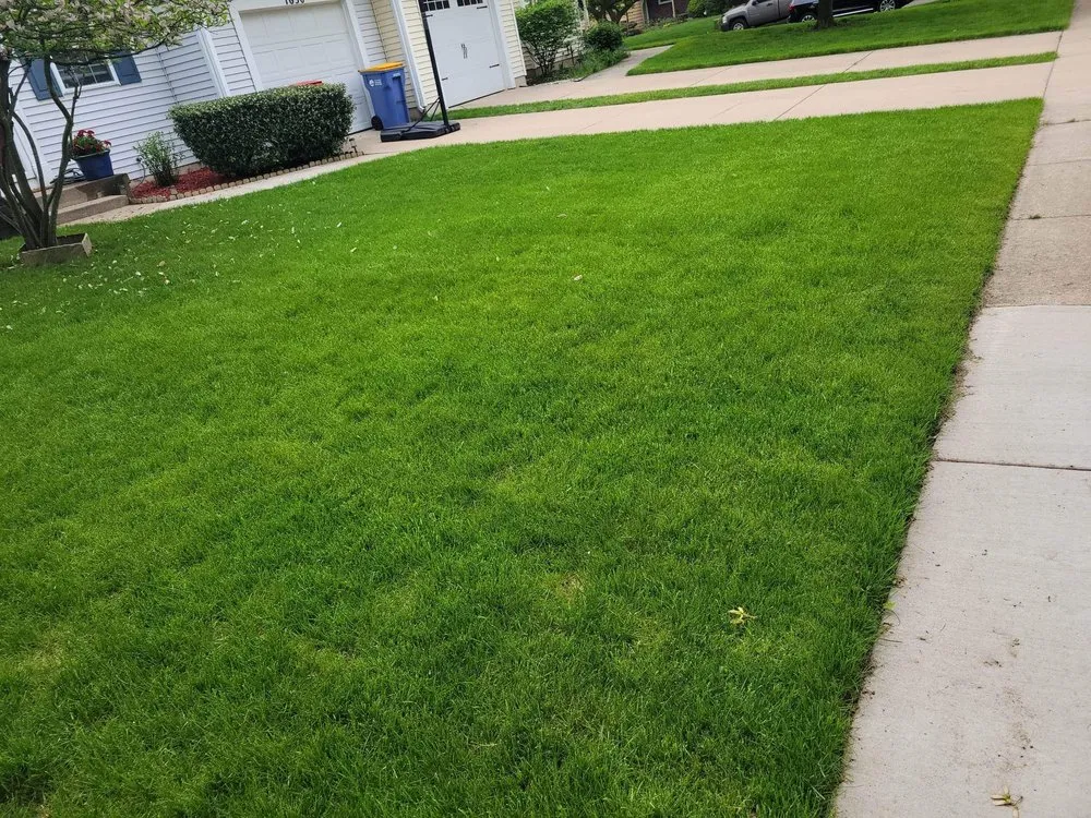 Trusted lawn care service with custom design in Wyoming, MI by CDP Lawn Care Services