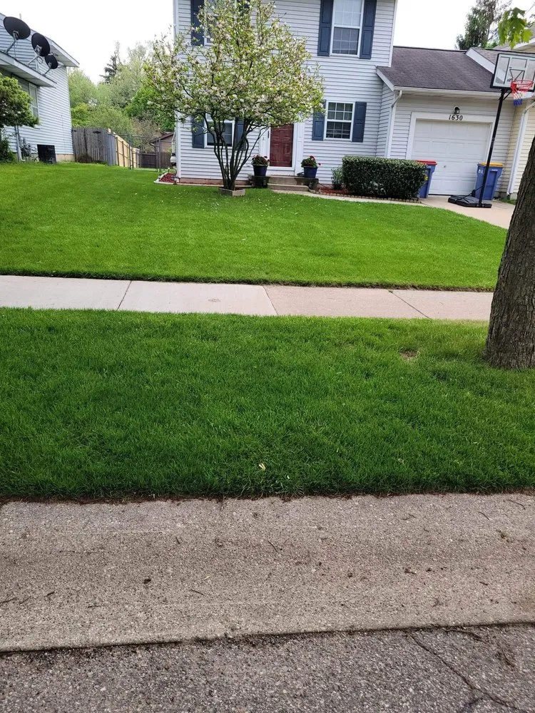 Trusted yard cleanup service in Wyoming, MI - CDP Lawn Care Services