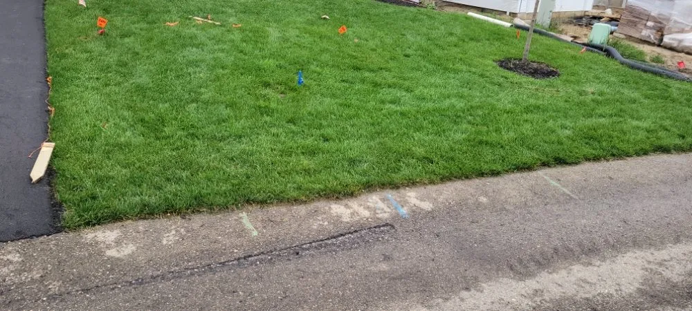 Professional lawn mowing service in Wyoming, MI - CDP Lawn Care Services