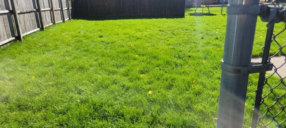 Expert lawn mowing service for residential properties across Wyoming, MI - CDP Lawn Care Services