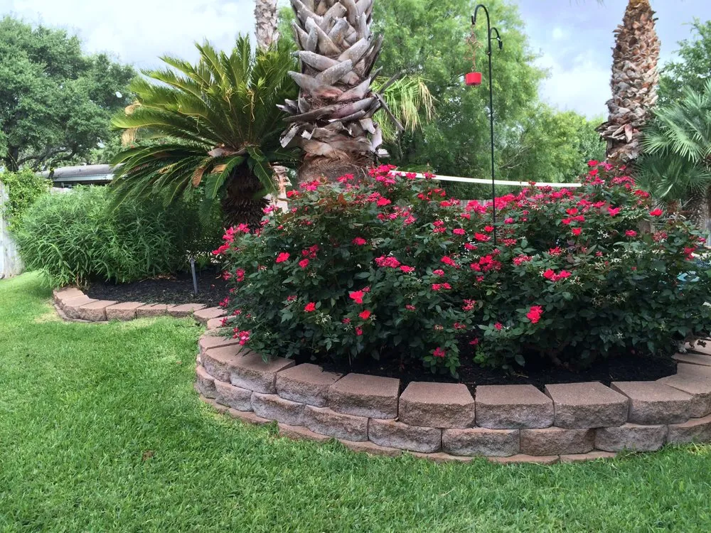 Affordable lawn care service in San Antonio, TX by CDR Irrigation & Landscapes