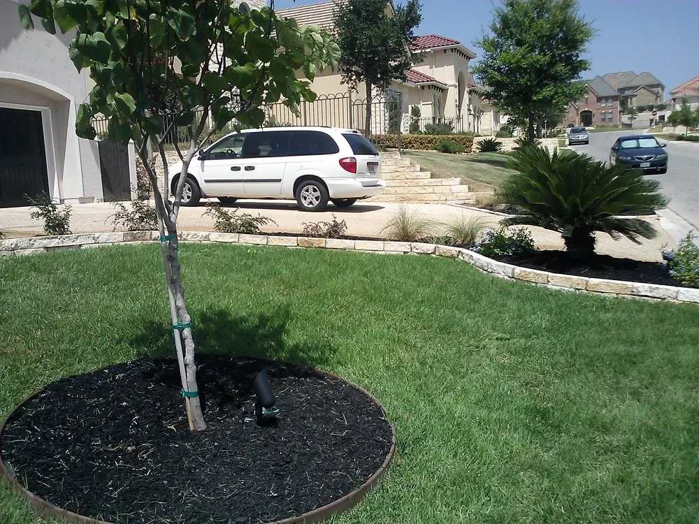 Expert yard maintenance for year-round maintenance in San Antonio, TX by CDR Irrigation & Landscapes
