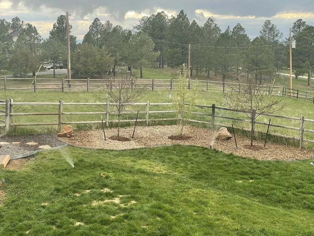 Expert yard cleanup service in Parker, CO by CDR Landscaping and Concrete