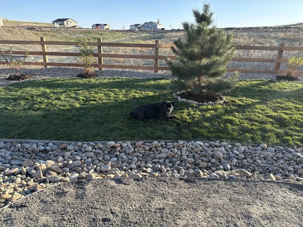 Expert landscaping services in Parker, CO - CDR Landscaping and Concrete