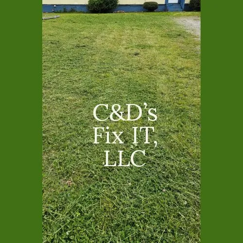 Custom yard cleanup service in South Hill, VA - C&D's Fix It