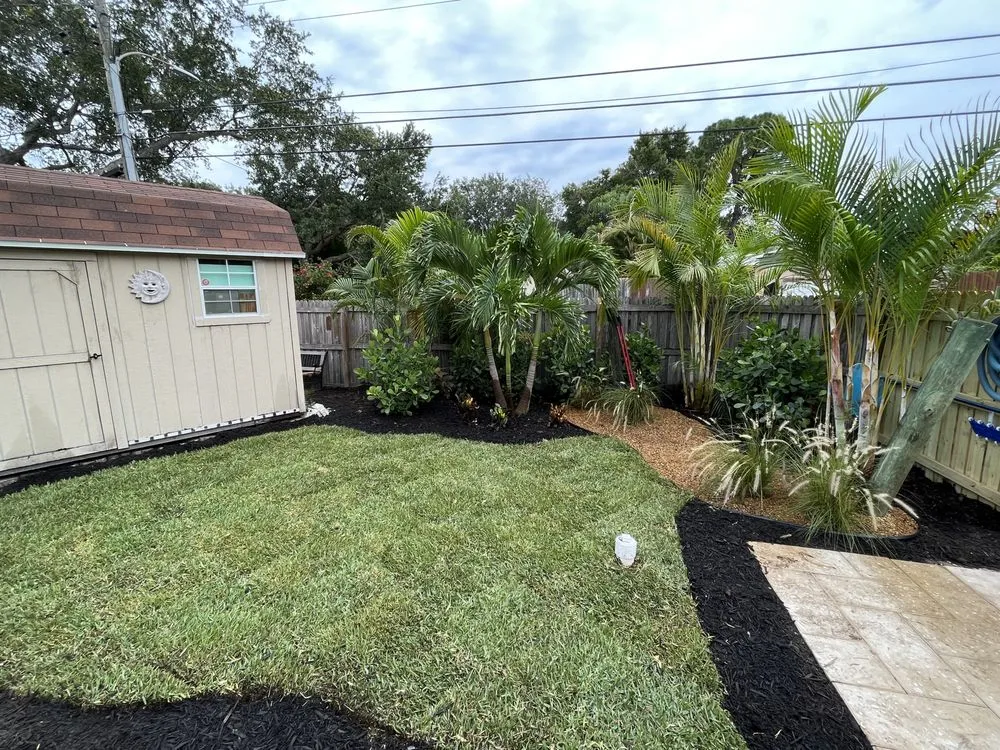 Professional yard maintenance in Saint Petersburg, FL - Cds landscaping