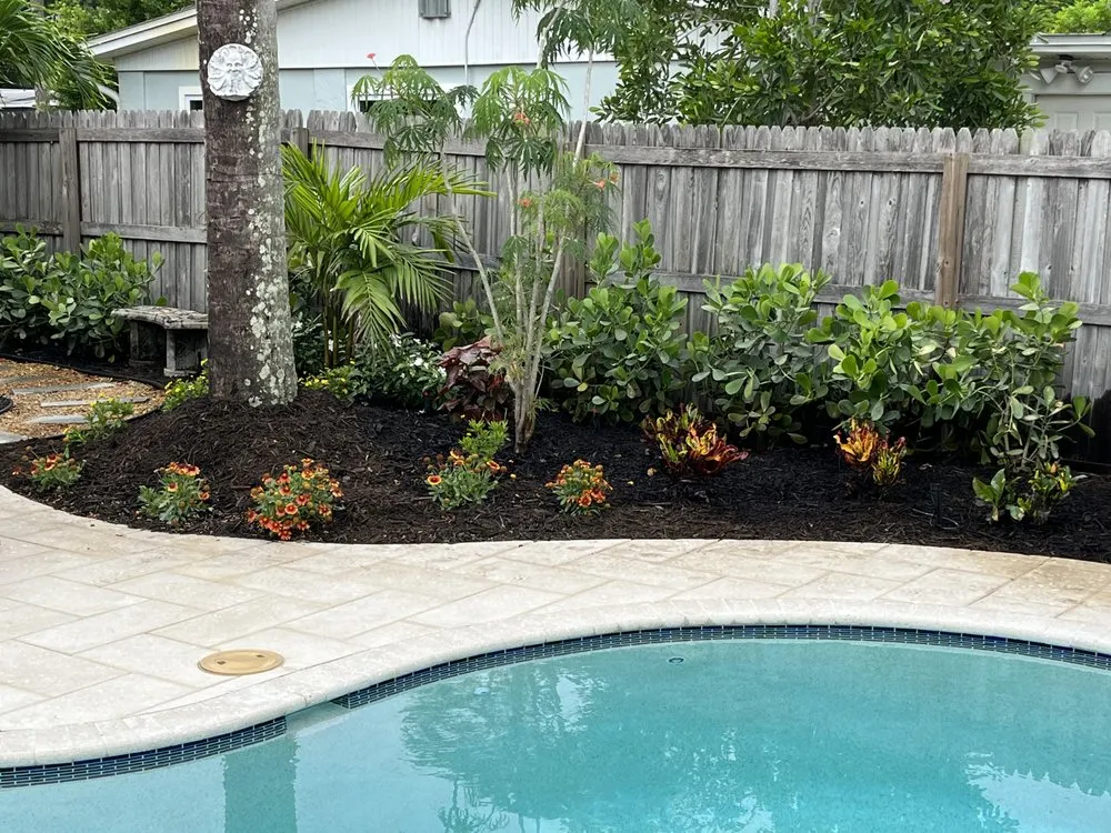 Affordable lawn care service near you across Saint Petersburg, FL - Cds landscaping