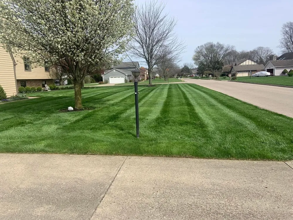 Reliable yard cleanup service for homes across Dayton, OH - CE & DD Properties