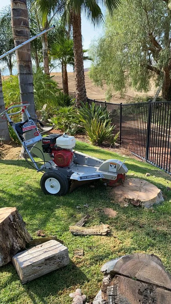 Local yard cleanup service for outdoor upgrades across Menifee, CA - C&E Landscaping & Tree Service