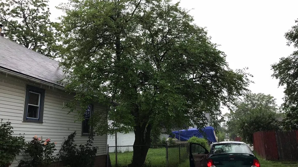 Reliable outdoor landscaping with custom design across Lorain, OH - C&E Landscaping And Powerwash Service