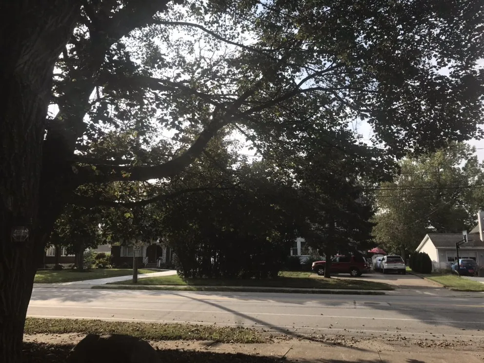 Local landscape installation for residential properties in Lorain, OH by C&E Landscaping And Powerwash Service
