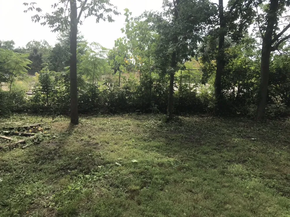 Reliable lawn mowing service for residential properties across Lorain, OH - C&E Landscaping And Powerwash Service