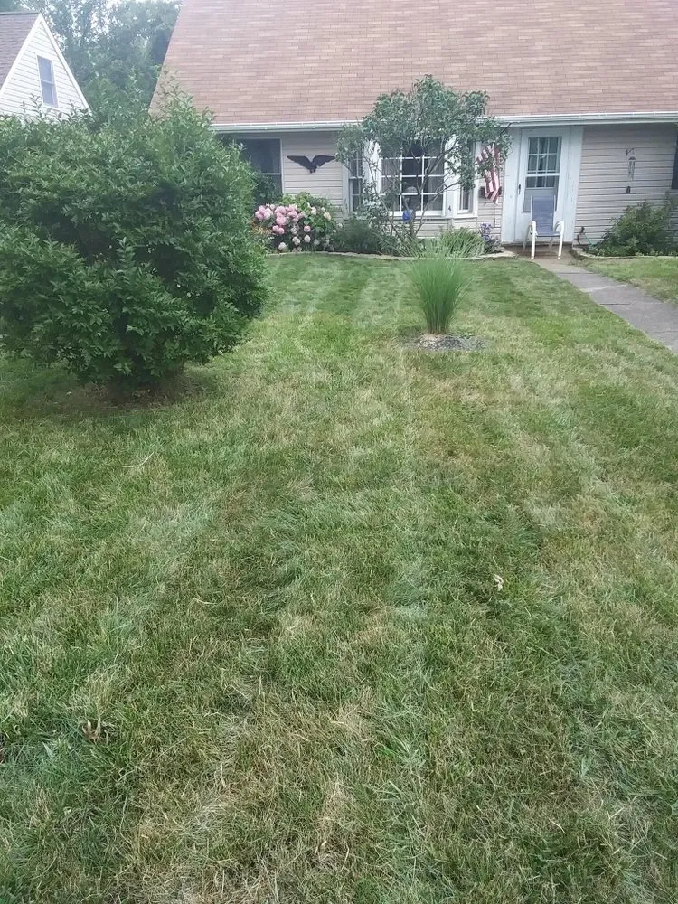 Top-rated yard maintenance for year-round maintenance in Lorain, OH by C&E Landscaping And Powerwash Service