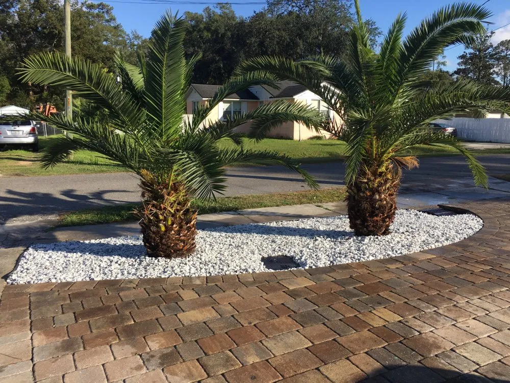 Top-rated yard cleanup service for residential properties across Jacksonville, FL - C&E Landscaping