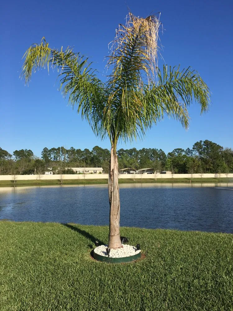 Top-rated yard cleanup service experts serving Jacksonville, FL - C&E Landscaping