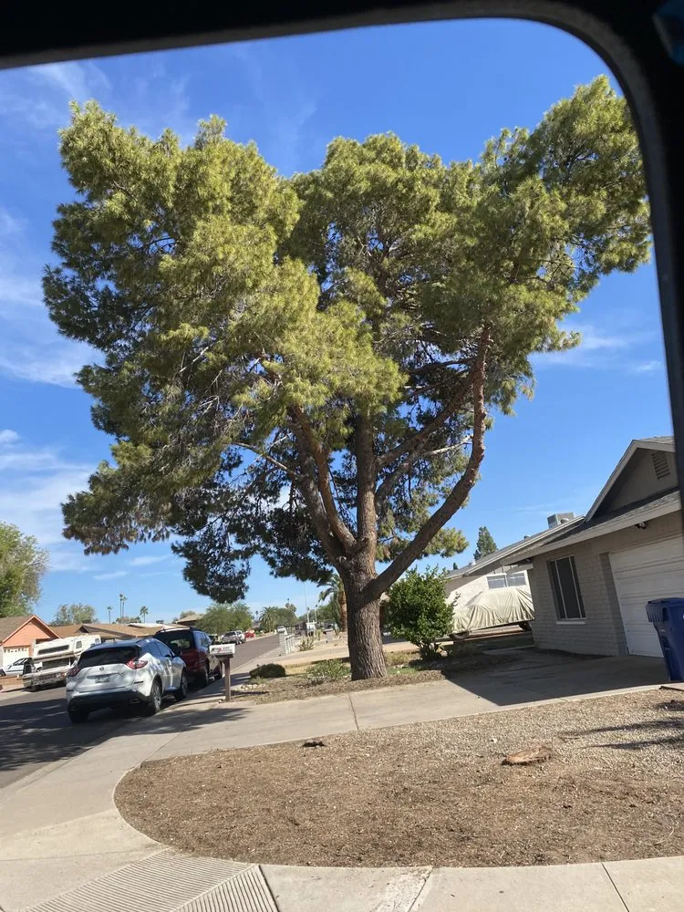 Custom outdoor landscaping in Mesa, AZ - C&E Landscaping