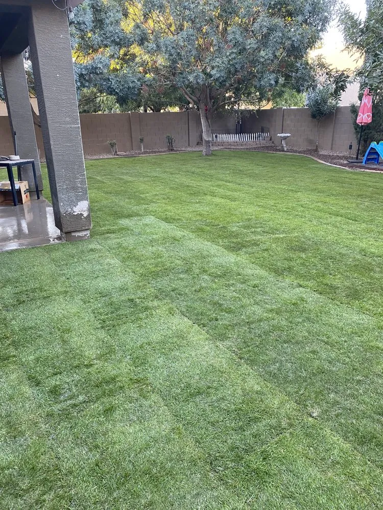 Expert yard cleanup service in Mesa, AZ - C&E Landscaping